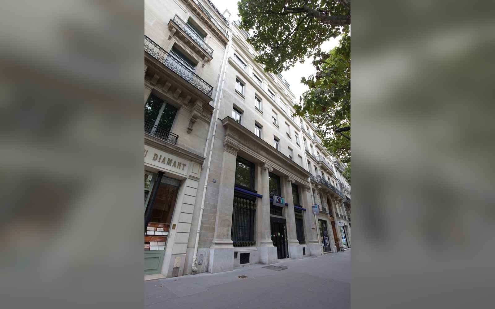A tree-lined Parisian street with a stone apartment building and ground-floor shopfronts
