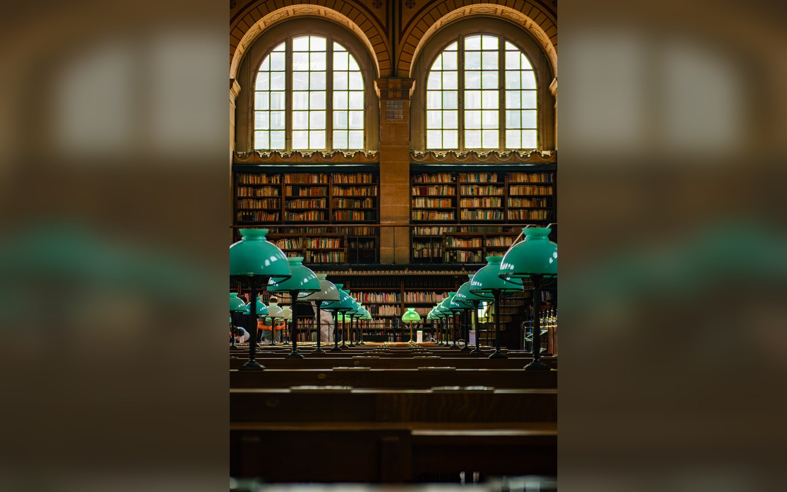 The main reading room of the Bibliothèque Sainte-Geneviève shot down its full length, readers seated at the long tables beneath the cast-iron barrel vault, afternoon light from the high windows